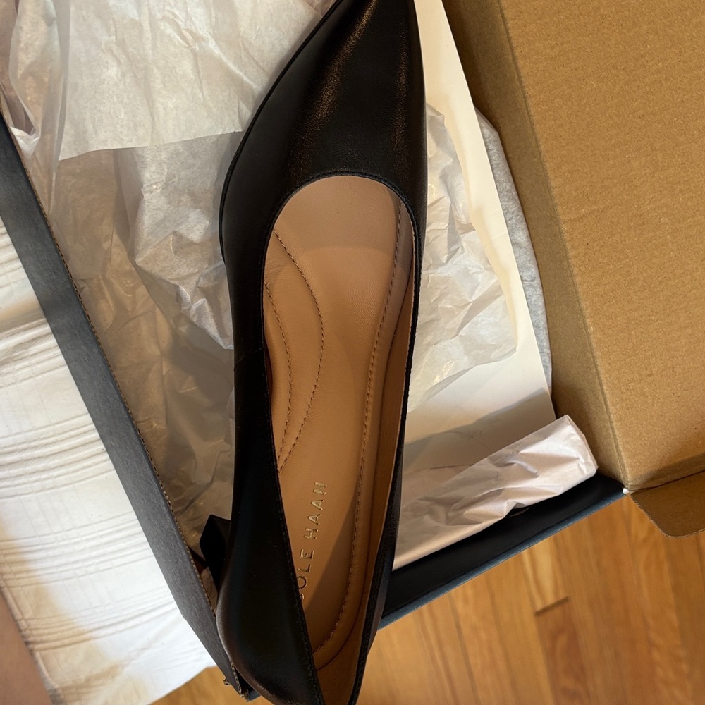 Cole Haan Black Pointed-Toe Ballet Flat